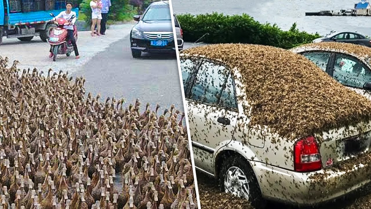 11 COISAS QUE VOCÊ VERÁ PELA PRIMEIRA VEZ NA VIDA