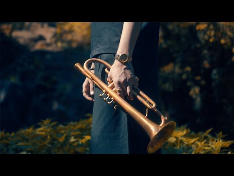 Theo Croker - Crystal Waterfalls (Visualizer)