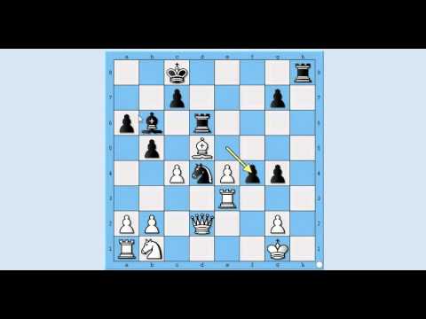 Zamke u otvaranjima  - Ruy Lopez - CIPOLLINI vs GUBNITSKY # 752