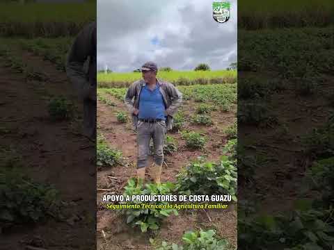Visita a fincas de productores de agricultura familiar en la zona de Costa Guazú (Benjamín Aceval)