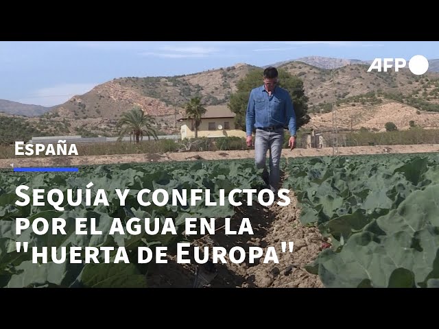 España, la huerta de Europa, vive una guerra por el agua