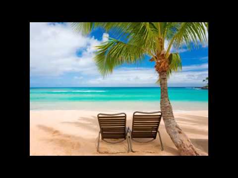 Tlustej Kárl 2011 Plnotučný léto [REUPLOAD]