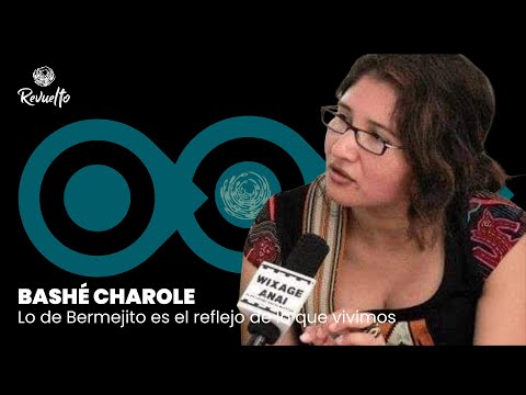 Bashé Charole: “Lo de Bermejito es el reflejo de lo que vivimos como provincia”