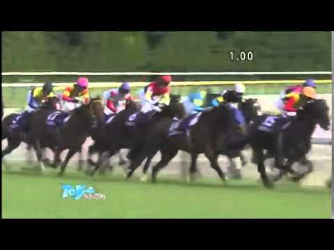 ヴィクトリアマイル2014