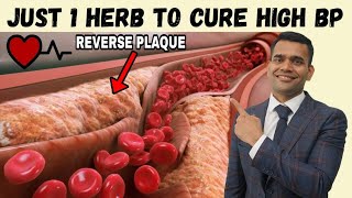 Just 1 Herb To Cure High Blood Pressure | 3 Ways To Treat High Blood Pressure