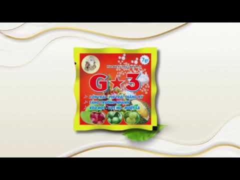 Cùng khám phá "BỘ BA KÍCH CAM" CHUYÊN CAM nhà One More