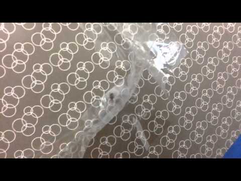 YouTube video about: Can bed bugs climb plastic?
