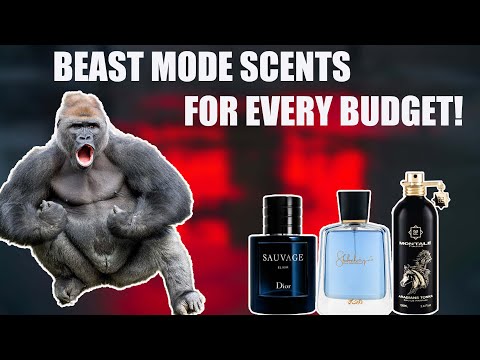 10 Beast Mode Fragrances For Every Budget!
