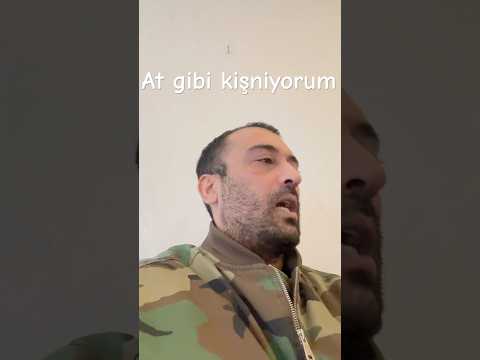 At sesi nasıl çıkarılır, deneyenler yoruma