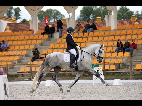 Lizarran & Eloi Morgado - CDN Alter do Chão FEI 5Y 14&15/11/2020