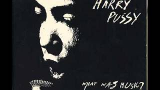 Harry Pussy - I Don't Care About Sleep Anymore