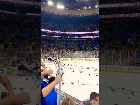 St. Louis Blues final 10 seconds of 2019 Stanley Cup from the stands at TD Garden game 7!! #LGB