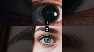 Você consegue identificar qual imagem é REAL e qual é feita por IA? #curiosidades