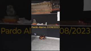 PRO 000011 - BIG C 478 X GLÓRIA 502