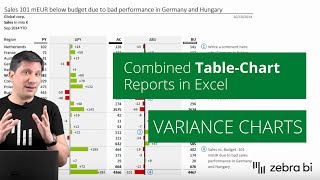 Download the video "How to Create Combined Table-Chart Reports with Zebra BI Excel Add-in"