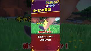 最強のトレーナー #Shorts