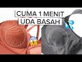 TEST SPORTS BRA ANTI GUNCANG CEPET KERING Review Mollifix Sports Bra
