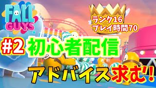 【👑ランク16】初心者です!うまくなりたいのでアドバイスお願いしますm(__)m【 Fall Guys: Ultimate Knockout 】
