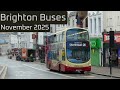 Brighton Buses | November 2025