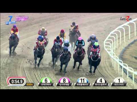 Korean Breeders' Cup 2015 - Power Blade - November 29, 2015