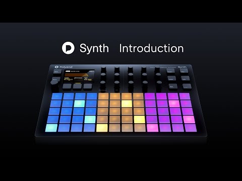 Polyend Synth Polyphonic Desktop Workstation 2024 - Present - Black image 8