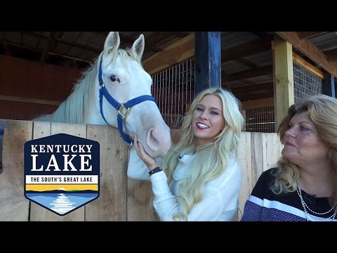 download lagu mp3 mp4 Thoroughbred Race Horses For Sale, download lagu Thoroughbred Race Horses For Sale gratis, unduh video klip Thoroughbred Race Horses For Sale