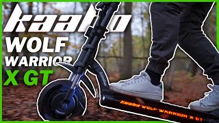Wolf Warrior X GT Is 4 Improvements Away From Having The X FACTOR