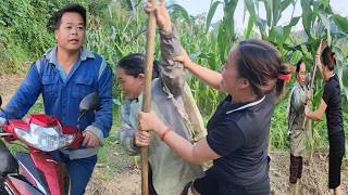 Download lagu Tuan successfully mediated a land dispute between villagers. mp3