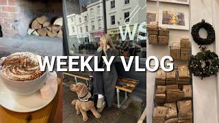 WEEKLY VLOG | B+M Shop With Me, Homesense Finds, Cosy Brunch Dates + M+S Picky Dinner!