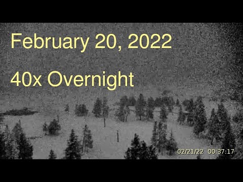 February 20, 2022 Upper Geyser Basin Overnight Streaming Camera Captures