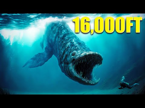 Journey into the Deep Sea Unveiling the Mysteries of the Abyss