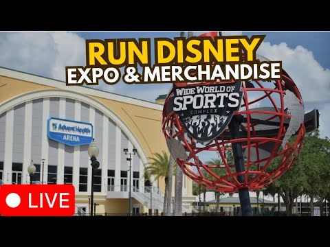 Live webcam of Disney Parks with Love