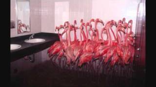 Des Wahnsinns Fette Bräute - Weiberheisl