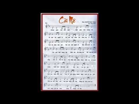 Cõi mê - Thu Tuyết