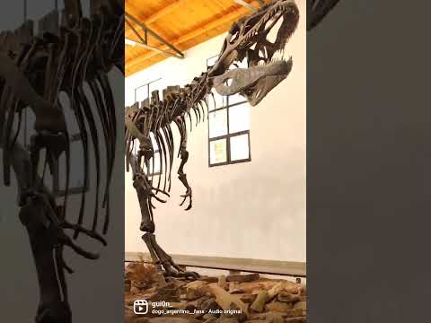 #neuquen #museo#elchocon#dinosaurios