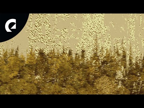 Toby Tranter - Golden Forest (Royalty Free Music)