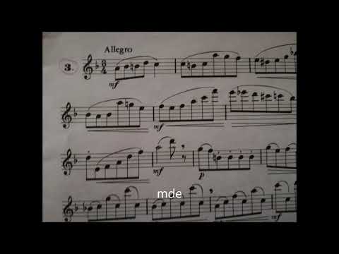 Ernesto Köhler Opus 33 Heft 1 - Der Fortschritt im Flötenspiel - Nr3 Allegro