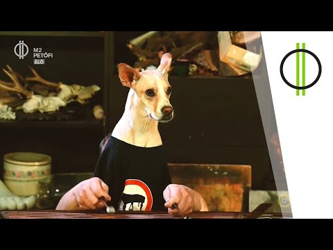 Oppadirida – A Cimbaliband korábbi slágerét gondolta újra VékonyZé és Spigiboy