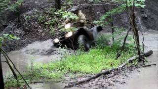 preview picture of video 'Keith in the mud Hatfield McCoy Indian Ridge'