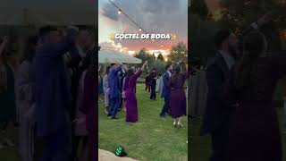 El fin del mundo - La la love you - Coctel de boda