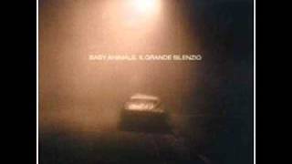 Early Warning, Acoustic - Baby Animals.wmv