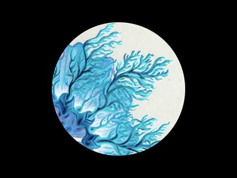 Alejandro Mosso – Xylose