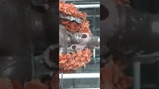 Download lagu Tiruchendur Murugan whatsapp status || TCR Digital Media || Tiruchendur mp3