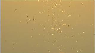 HÍREK A TERMÉSZETBŐL