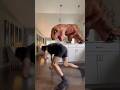 Jurassic Park At Home