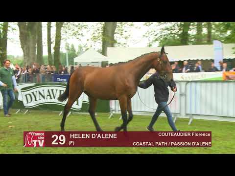Sprinter Sacré Show 2019 : Lot 29 - HELEN D'ALENE