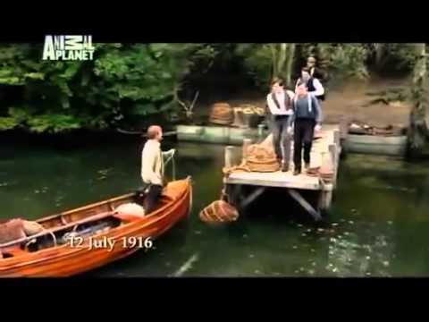 Szczęki   prawdziwa historia