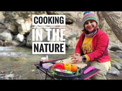 cooking in the nature with Elaheآشپزی در طبیعت با الهه