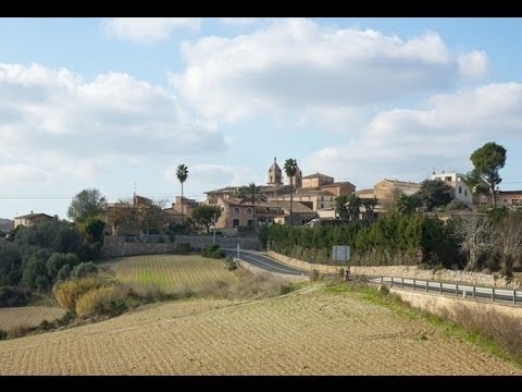 117 Pina Mallorca Privatunterkunft