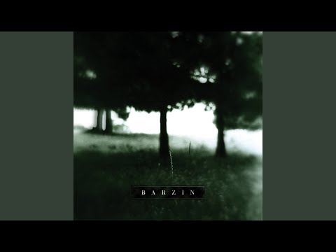 Morning Doubts - Barzin